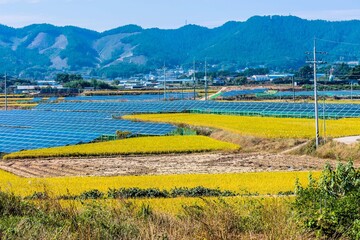 Array of solar panels in rural farmland with mountains in background.