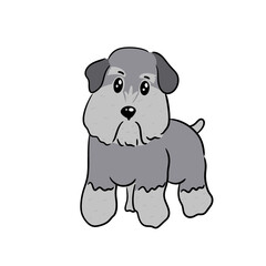 Grey puppy