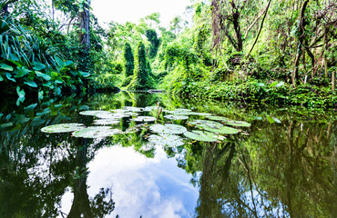 Tranquil landscape at a lake