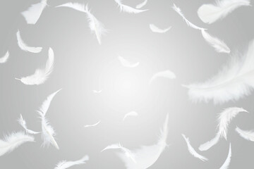 Abstract Group of White Bird Feathers Flying in The Air. Feathers Floating in Heavenly