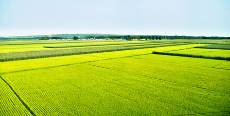 High angle view of farmland in China