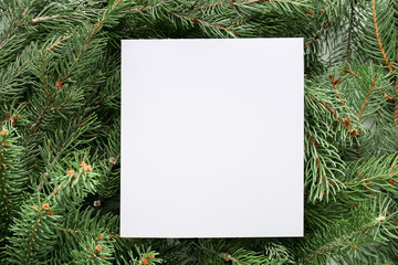 Fototapeta na wymiar Blank paper sheet on Christmas branches