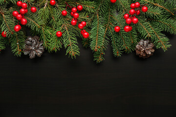 Christmas branches with cranberry and fir cones on black background