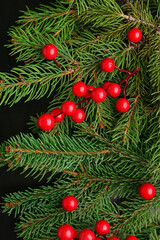 Obraz na płótnie Canvas Christmas branches with cranberry on black background