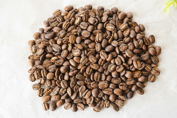 稀少種　グァテマラゲイシャ