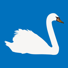 white snow swan. vector illustration
