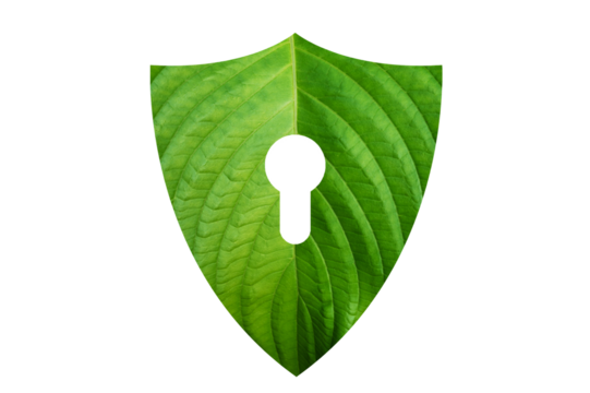 Green shield protects nature and protects the environment on transparent background PNG file - Powered by Adobe