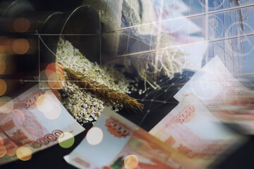 The concept of the cost of grain. 5000 ruble banknotes around a handful of ground grain. World...