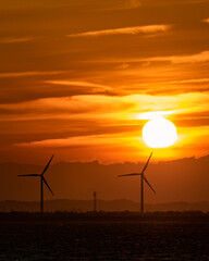 夕日　海　自然　風車