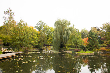 Japanese Garden in Wroclaw, Poland. Bridge in japanese garden in autumn. Japanese garden in autumn