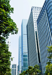 Obraz premium Modern glass buildings and green tree branches