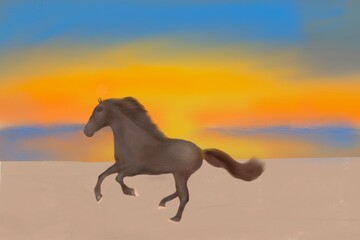 beautiful horse gallop across the beach in the evening