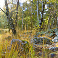 Kristiansand, Norway