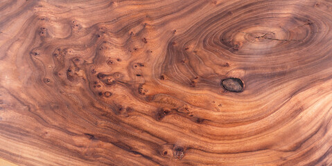 wooden background with cross section and annual rings