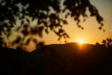 Sunset in the mountains. Beauty in the wild. Landscape with trees.