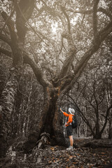 Female ecologist studying plants in the forest touching the trunk with hands. Female environmental...