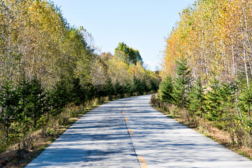 Fototapeta na wymiar Scenic road through autumn trees