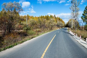 Scenic road through autumn trees