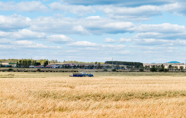 Obraz premium Harvester machine working in harvest rice field