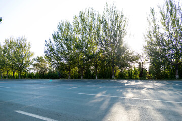 Beautiful view of the asphalt road and green trees