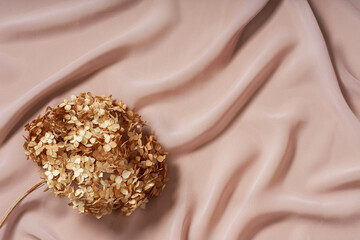 Dried hydrangea flower on textured fabric background close-up. View from above. Place for text. Beautiful floral background.