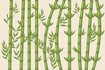 Fototapeta na wymiar Bamboo Tree for Wall Art Best Graphic