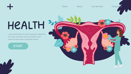Female menstrual cycle. landing page Female doctor tracking menstrual cycle. Vector illustration of female reproductive system