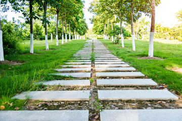 Stone steps in the garden