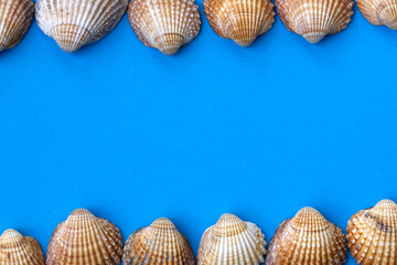 Two rows of shells on the blue background - top and down. Space for text in the centre. Concept for summer background, card. Minimal background. 