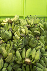 Cultivated bananas selling at a local wet market.