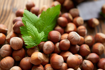 Hazelnuts scattered on the table are decorated with a fresh leaf. Beautiful photo wallpaper for a cooking blog.