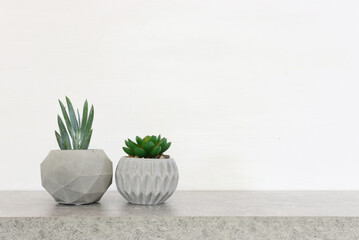 Empty table with small plant over white background