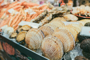 closeup of shellfish scallop with other variety of fresh seafood on crushed ice at seafood grill stall in kuromon ichiba market in Osaka japan