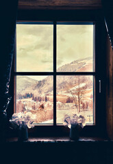 window with curtains mountains View