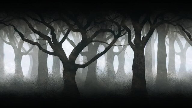 Ghostly mystical dark forest parallax background