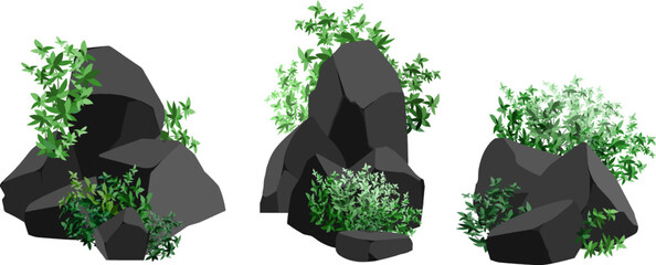 A set of black charcoal of various shapes and plants.Collection of pieces of coal, graphite, basalt and anthracite. The concept of mining and ore in a mine.Rock fragments,boulders.