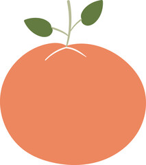 Orange vector