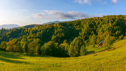 carpathian countryside landscape at sunset. grassy rural pastures and forested slopes in evening light. warm autumn weather with fluffy clouds on the bright blue sky