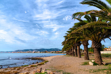 Fototapeta na wymiar Benicarlo with palm trees coast view to Peniscola Spain Castellon province Costa del Azahar