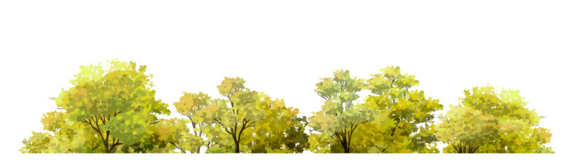 Abstract vector watercolor ,tree or forest side view isolated on white background for landscape and architecture drawing,elements for environment and garden,botanical for section and elevation