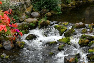 petite cascade avec de nombreux rochers recouverts de mousses vertes sur la riviére Couze prêt...