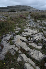 Fototapeta na wymiar Burren National Park - County Clare - Ireland