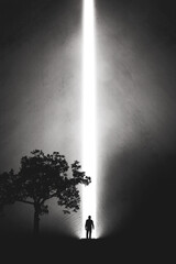 A silhouette of a man in nature next to a tree, walking towards a bright light in the opened huge...