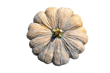 Isolated pumpkin. Fresh autumn pumpkin isolated on white background