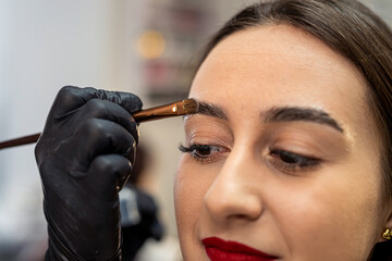 procedure of styling and correction and painting and lamination in a beauty salon by a master.