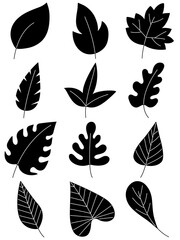 Fototapeta premium Leaves hand drawn icon vector set isolated on white background, Hand drawn decorative elements, Simple cartoon hand drawn style