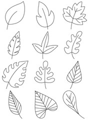 Leaves hand drawn icon vector set isolated on white background, Hand drawn decorative elements, Simple cartoon hand drawn style