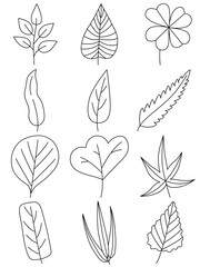 Leaves hand drawn icon vector set isolated on white background, Hand drawn decorative elements, Simple cartoon hand drawn style