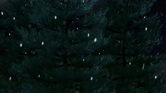 Pine trees in winter blizzard closeup. Evergreen tree in the night. Dark winter background. Looped motion.
