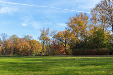 Fototapeta premium Picturesque view of park with beautiful trees and green grass on sunny day. Autumn season